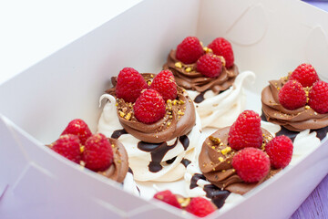 Mini cakes with whipped cream, chocolate, meringue and fresh raspberries. Confectionery poster for cafe or restaurant