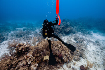 Diver exploring coral reef with safety marker buoy in Cancun, Mexico