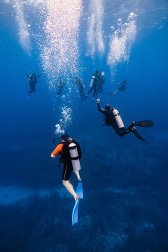 Divers exploring the tranquil depths of the ocean in Cancun, Mexico