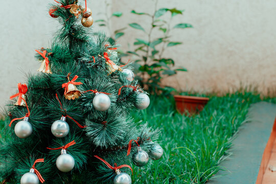  Christmas Tree at Summer Garden with Text Space