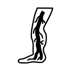 Fototapeta premium Anterior Tibial Vein icon in vector. Logotype