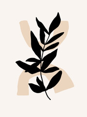 Modern abstract botanical art print. Organic shapes and foliage in neutral colors.  - 685153061
