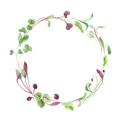Colorful circle frame of fresh microgreens, watercolor illustration delicate plants for label, emblem or your design menu healthy food. Isolated hand drawn print with micro greens.