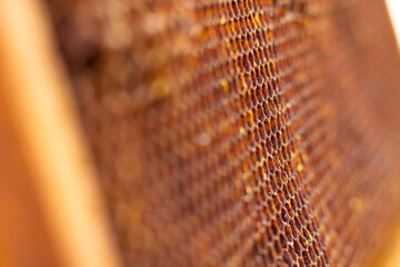 Extreme close up view of a honeycomb and cells. Apiculture or beekeeping concept
