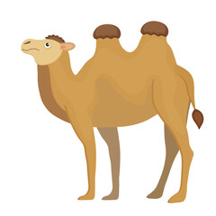 Exotic brown camel, Egypt cartoon mammal. Cute, funny, happy, childish animal. Safari journey, sahara trip. Two humps, bedouin mount. Isolated on white background. Vector illustration
