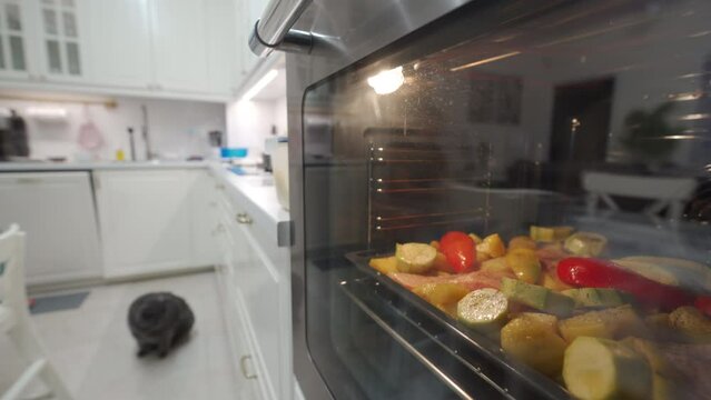 cat are waiting for dish with fish and vegetables to bake in kitchen oven