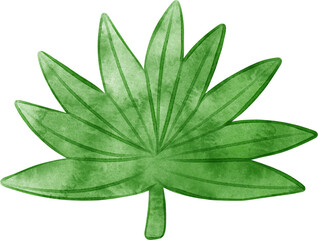watercolor green leaves