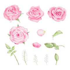 Watercolor pink rose flowers bouquet for valentines day card vector