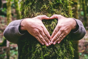 Fotobehang One man hugging a green tree trunk doing heart gesture with hands. People and love respect for nature forest and environment lifestyle. Environmentalist embrace trunk with musk. Stop climate change © simona
