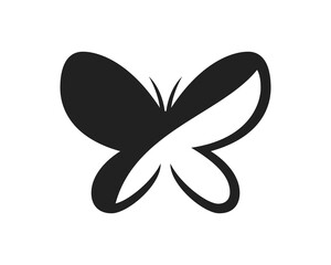 Butterfly. Black and white concept. Vector illustration