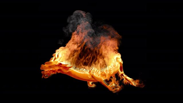 Flame Dragon[Loop Playback]