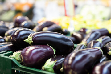 Fresh purple eggplant on market counter