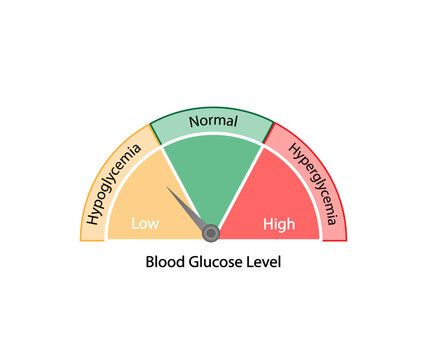 Blood Glucose Levels. Normal level, hypoglycemia (low blood sugar), hyperglycemia (high blood sugar), sugar test. vector diagram