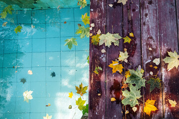 Autumn outdoor swimming  pool hot spring. Coloured leaves on  wooden floor