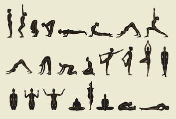 Silhouette of woman posing in yoga steps with direction lines, Vector separating parts of the body