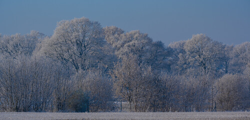 Schneelandschaft oder Winterlandschaft, Schnee und Eis bedeckte Bäume an einem Ackerland 