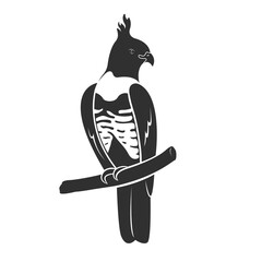 Vector of black baza bird design. Birds. Wild Animals. - obrazy, fototapety, plakaty