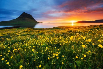 Cercles muraux Kirkjufell The picturesque sunset over landscapes and waterfalls. 