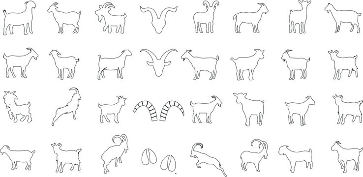 Goat, line art, vector illustration, black and white, minimalistic, modern, trendy, farm animal, nature, horns, hooves, standing, walking, grazing, eating, resting, multiple poses, variations