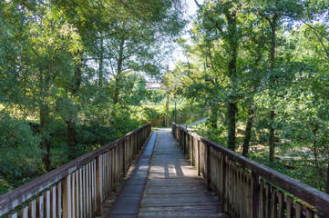 wooden walkway or bridge over the marshes