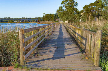 Obraz premium wooden walkway or bridge over the marshes