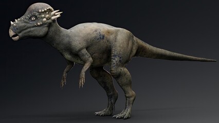 Pachycephalosaurus render of background. 3d rendering