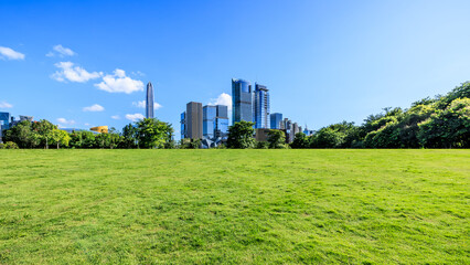 Fototapeta premium Green lawn and Shenzhen skyline with modern buildings under blue sky, Guangdong Province, China. Panoramic view.