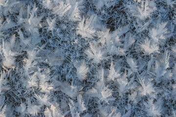 Large crystalline frost grown on ice on a frosty day close-up, northern nature