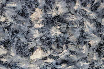 Large crystalline frost grown on ice on a frosty day close-up, northern nature