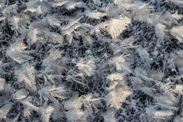 Large crystalline frost grown on ice on a frosty day close-up, northern nature