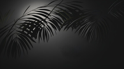Shadow of palm leaves
