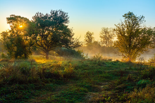 Picturesque summer landscape with the rising Sun over the river and a meadow with trees and grass. Summer morning non-urban scene in the countryside. HDR photo. Nature of the forest-steppe
