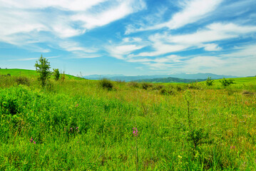 Fototapeta na wymiar lucani countryside landscpe during the springtime, Basilicata, Italy