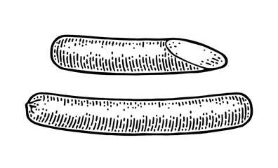 Whole and half sausage. Vintage vector engraving illustration for web, poster. Hand drawn design element isolated on white background.