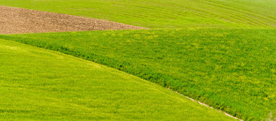 Obraz premium lucani countryside landscpe during the springtime, Basilicata, Italy