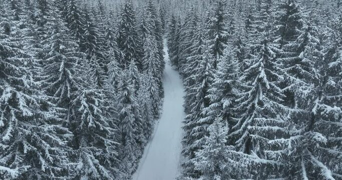 Misty Sunset on the Snowy Mountains aerial drone point of view Forests cross country paths in pine trees winter with fresh country road. 
