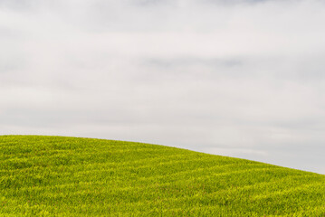 Fototapeta premium lucani countryside landscpe during the springtime, Basilicata, Italy