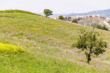 lucani countryside landscpe during the springtime, Basilicata, Italy