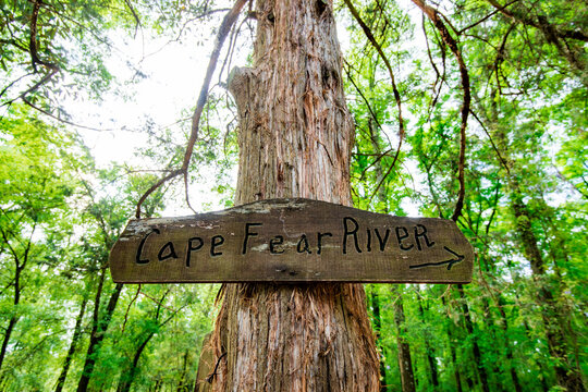 Wooden Cape Fear River sign attached to a tree in North Carolina