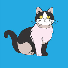 cat vector