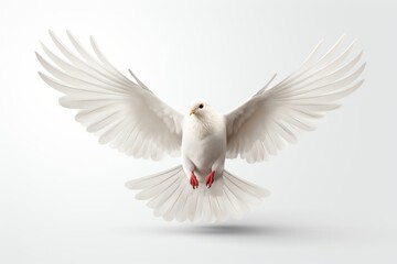 White Dove in Flight with Wings Spread Wide Open Generative AI