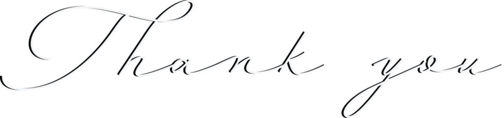 Elegant Thank You Script. Thank you sign shadow. Grey Thank You calligraphy. 