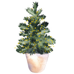 Watercolor Christmas tree, isolated on transparent background, PNG files. Happy New Year and Merry Christmas