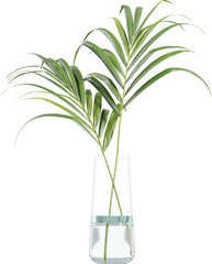 Side view of palm branches in glass vase
