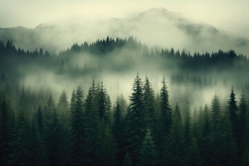 Mysterious Vintage Pine Forest View