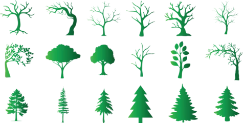 Fotobehang Vibrant, diverse tree vector illustration set. Perfect for nature, park, and forest-themed designs. High-quality, detailed tree icons showcasing various species and styles. © Arafat