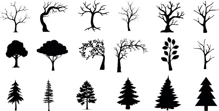 Tree silhouette vector illustration set, ideal for nature, forest, park, outdoors, isolated, background, different types, deciduous, coniferous, oak, pine, birch, maple, spruce, fir, cedar
