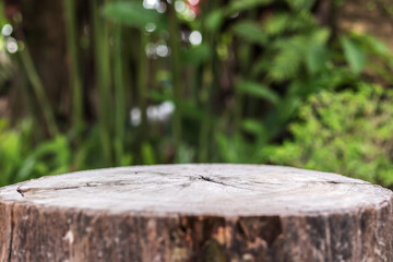Fototapeta premium Empty old tree stump table top with blur green tropical garden background for product display