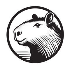 photos of the capybara or greater capybara, the largest living rodent, capybara illustrations and vectors for prints and publications, capybara graphic resources