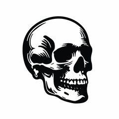Skull vector illustration solid